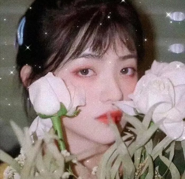 森林
